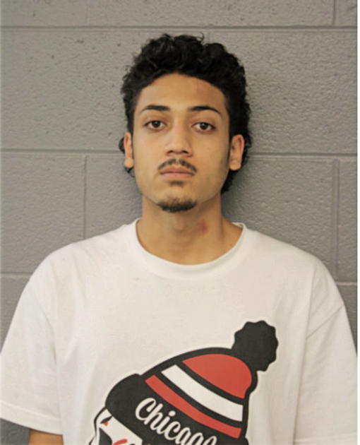 JAMES J MONTENEGRO, Cook County, Illinois
