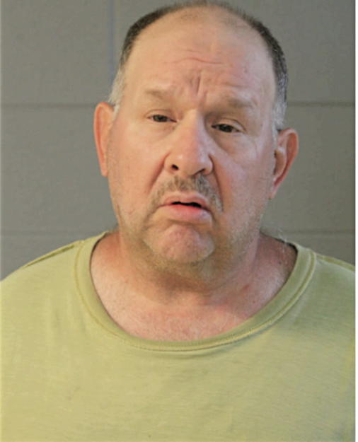 DAVID A NESTEL, Cook County, Illinois