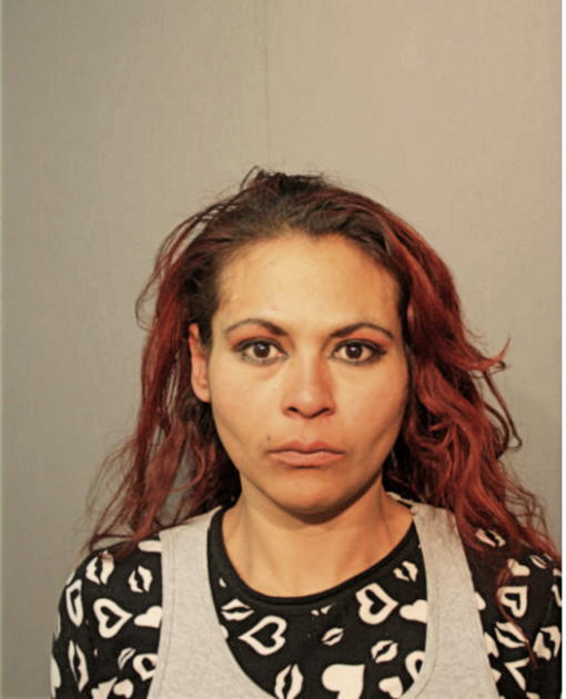 MANIS NUNEZ, Cook County, Illinois