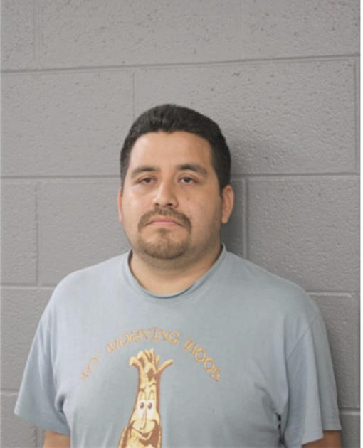 ADRIAN REYES, Cook County, Illinois