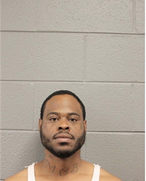 MICHAEL D RICH, Cook County, Illinois