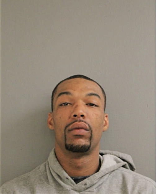 MICHAEL P STURDIVANT, Cook County, Illinois