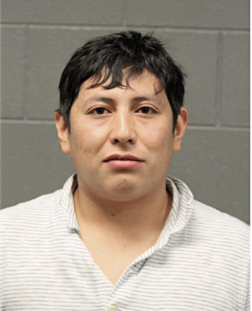 ALEX C TIRADO, Cook County, Illinois