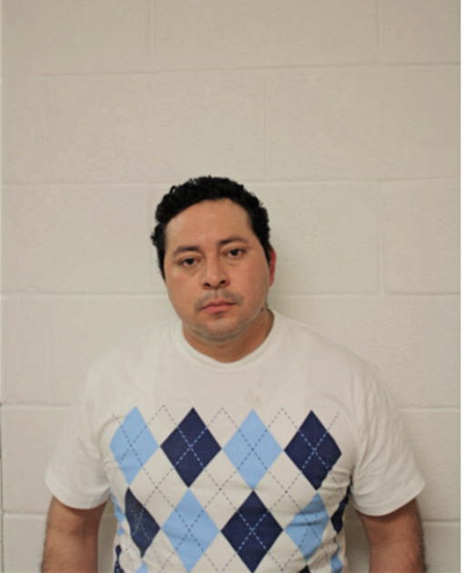JAVIER S TOLEDO, Cook County, Illinois