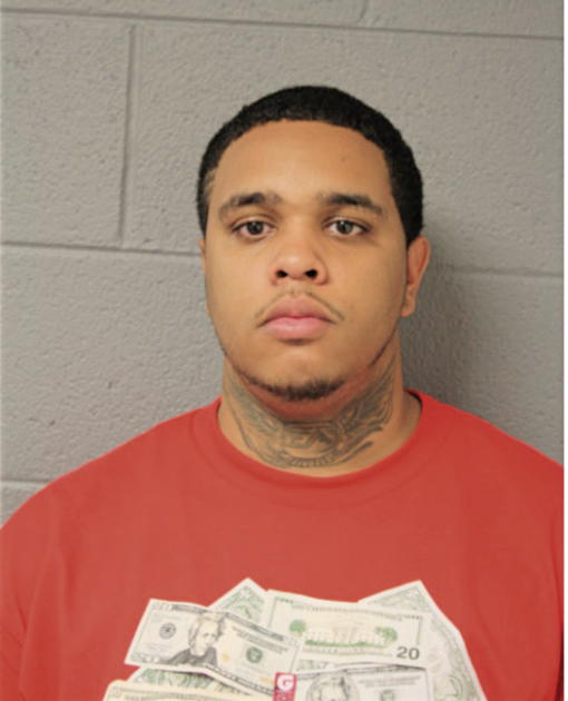 BRAYLEN S WATKINS, Cook County, Illinois
