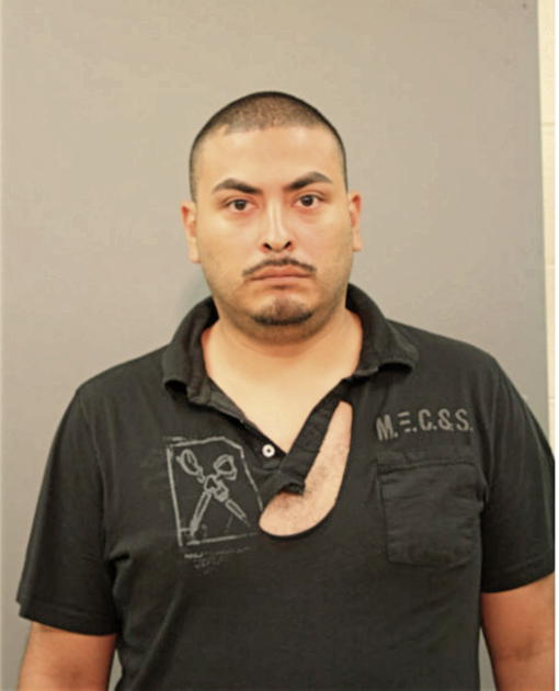 RODOLFO ZAMUDIO, Cook County, Illinois