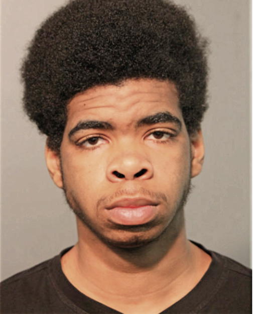 ARMANI BEARDEN, Cook County, Illinois