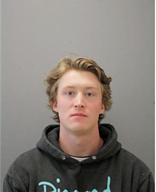 MICHAEL J BLISS, Cook County, Illinois
