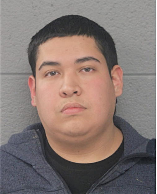 CRISTAN CELIS, Cook County, Illinois
