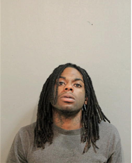 GENESIS D DAVIS, Cook County, Illinois