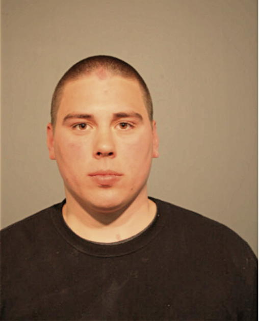 THOMAS J DAVIDSON, Cook County, Illinois