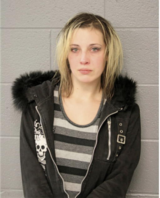 ASHLEY L ENGELBRECHT, Cook County, Illinois
