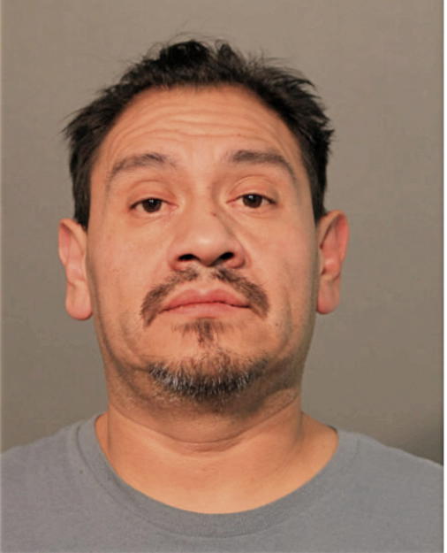 SALOMON M GAONA, Cook County, Illinois