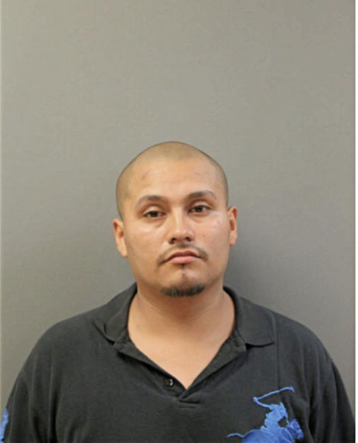 JOSE A GARRIDO, Cook County, Illinois