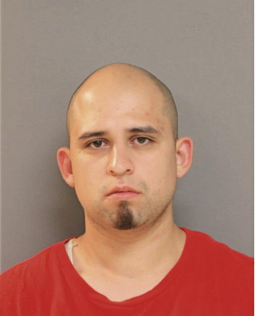 DAMIAN GONZALEZ, Cook County, Illinois