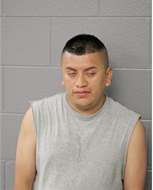 JULIO C GUERRA, Cook County, Illinois