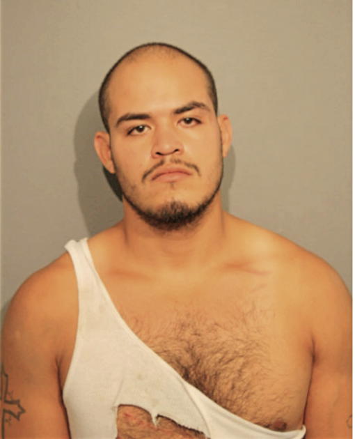ANTHONY HERNANDEZ, Cook County, Illinois