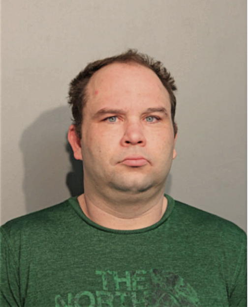 JOHN M HIGGASON, Cook County, Illinois