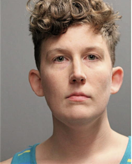 SARA KATHERINE HORVATH, Cook County, Illinois