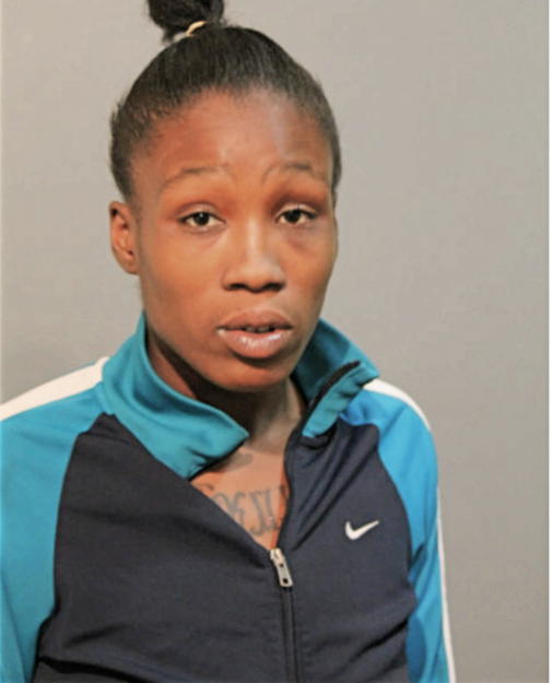 BRITTENY S IBITOYE, Cook County, Illinois