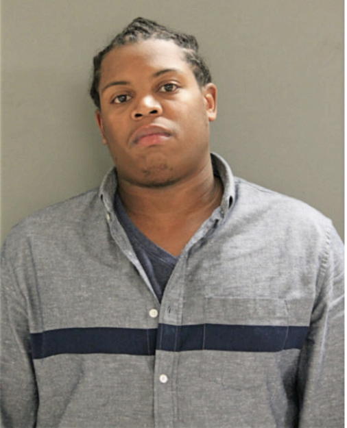 BRIAN P JOHNSON, Cook County, Illinois