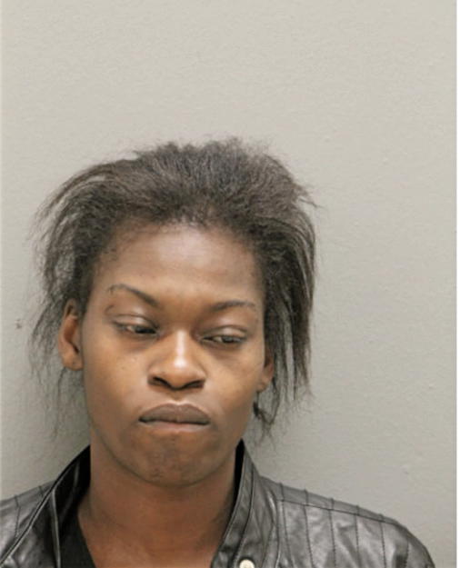 KIMBERLY A JOHNSON, Cook County, Illinois