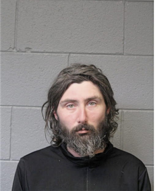 MATTHEW L LEWITZ, Cook County, Illinois