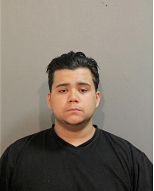 JOSE A MAGANA, Cook County, Illinois