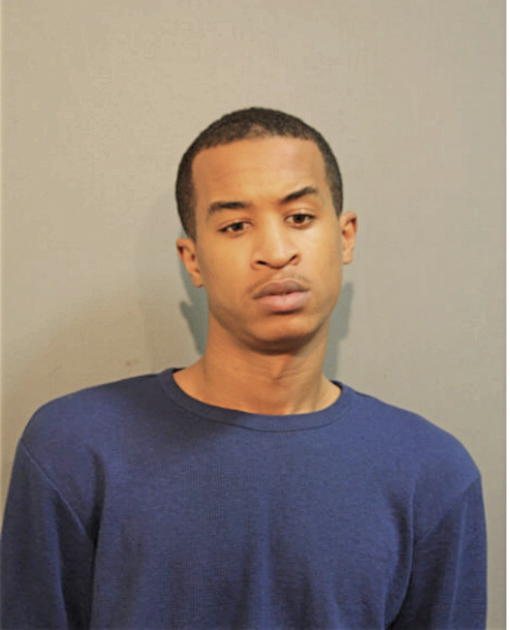BRANDON J MARTIN, Cook County, Illinois