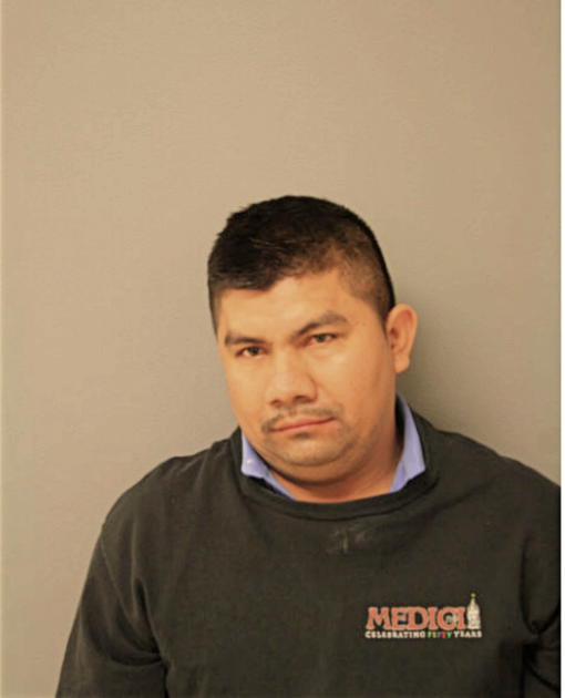RICARDO MENDOZA, Cook County, Illinois