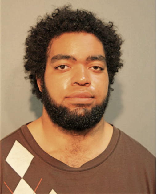 SERAFIN NAVA-MCCAIN, Cook County, Illinois