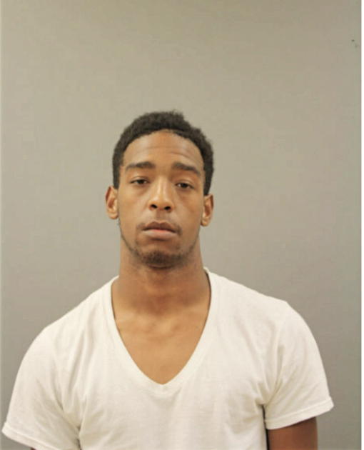 LORENZO L NEWMAN, Cook County, Illinois