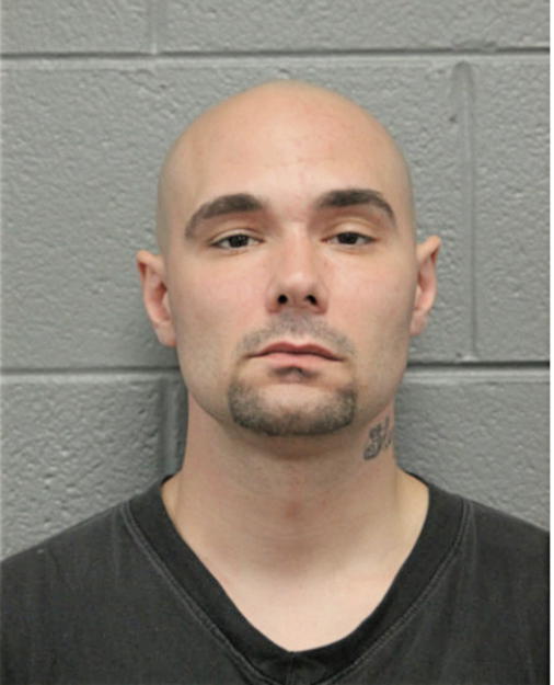 JEREMY M PALERMO, Cook County, Illinois