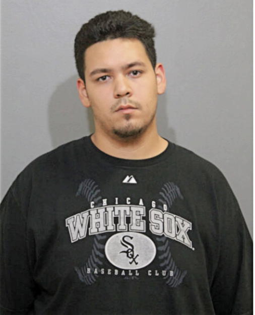 GABRIEL DAVID RODRIGUEZ, Cook County, Illinois