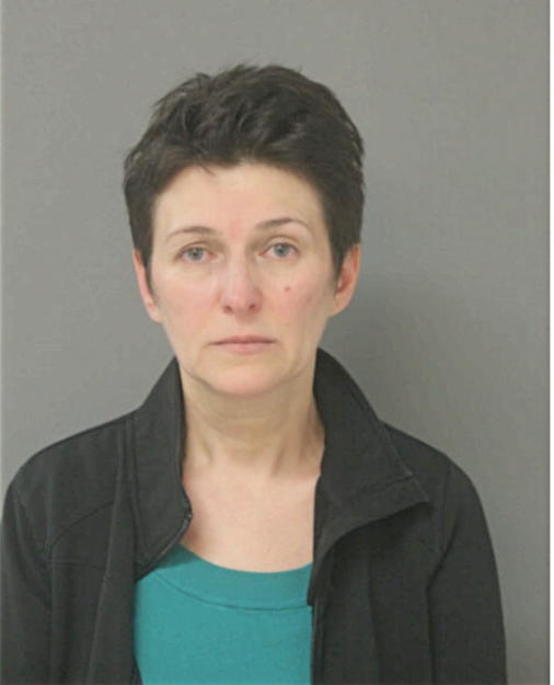 DANIELLA SURDEA, Cook County, Illinois