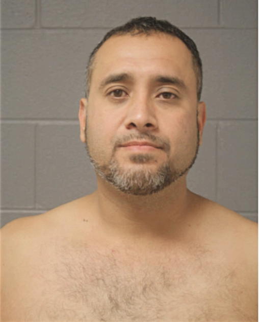 DAVID BAHENA, Cook County, Illinois