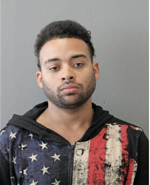 BRADLEY K BIGHAM, Cook County, Illinois