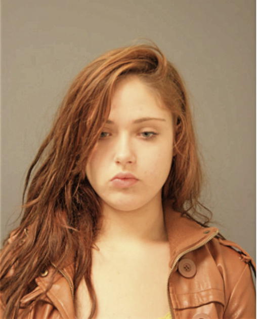 NICOLLETTE I BORGER, Cook County, Illinois