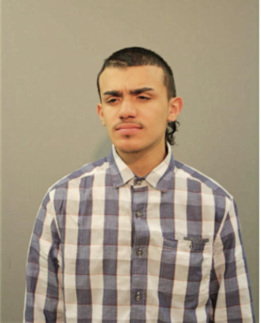 ANGEL L CASTRO, Cook County, Illinois