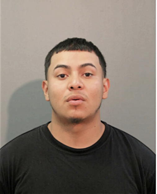 FRANCISCO J CASTRO, Cook County, Illinois