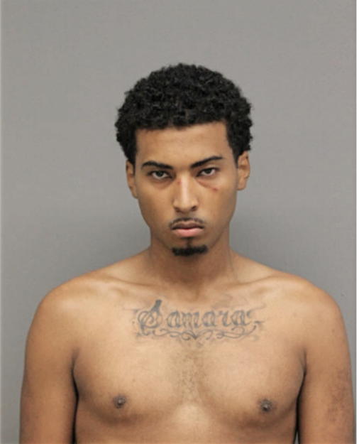 RYAN D DOMERACKI-JOHNSON, Cook County, Illinois