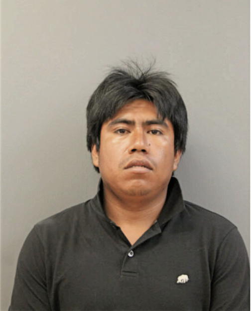 ADRIAN GALEANA, Cook County, Illinois
