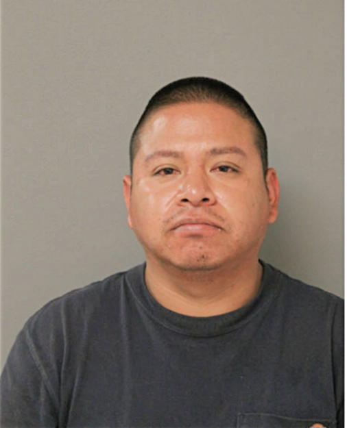 MYNOR GARCIA, Cook County, Illinois