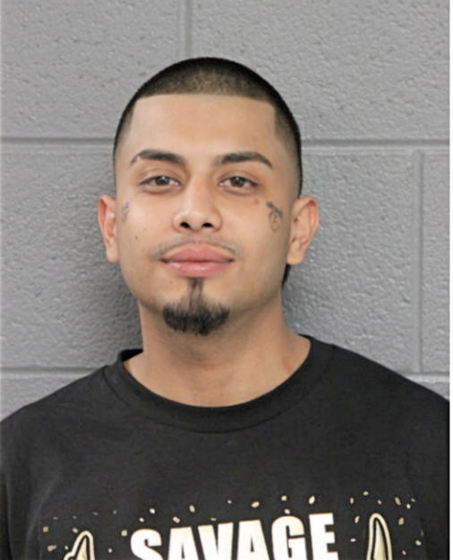 ANGEL M GONTARZ, Cook County, Illinois