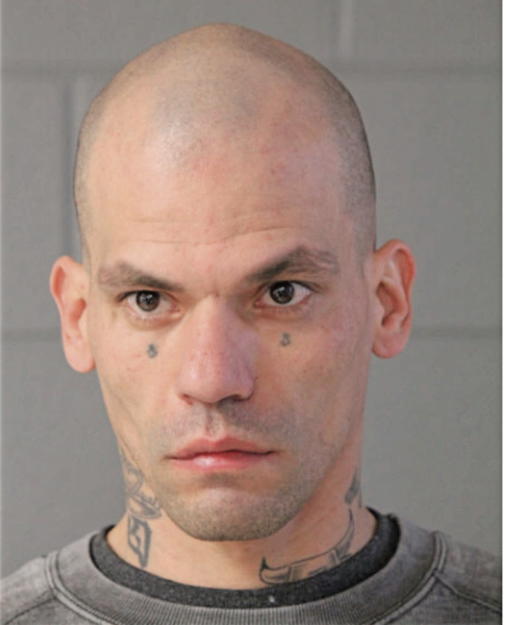 MATTHEW L GONZALEZ, Cook County, Illinois