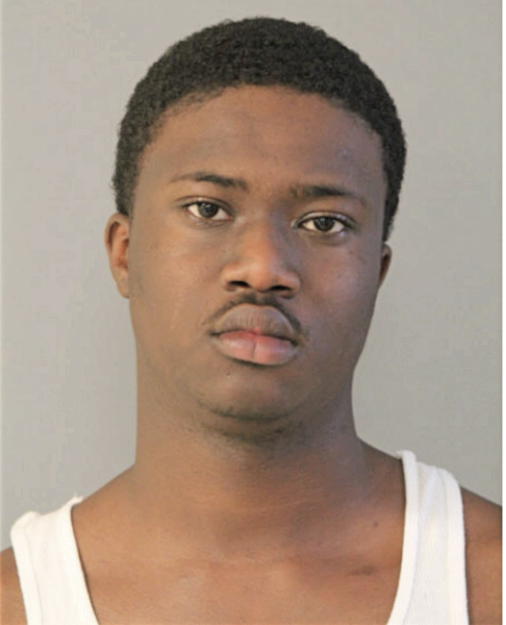 RONNIE T HENDRICKS, Cook County, Illinois