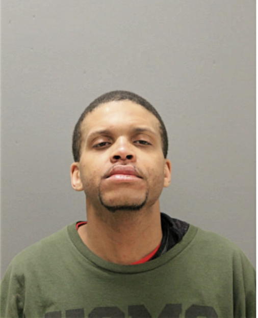 BRIAN J HICKS, Cook County, Illinois