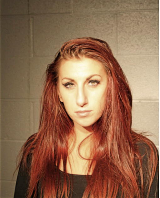 BREANNA N HOCHSTATTER, Cook County, Illinois