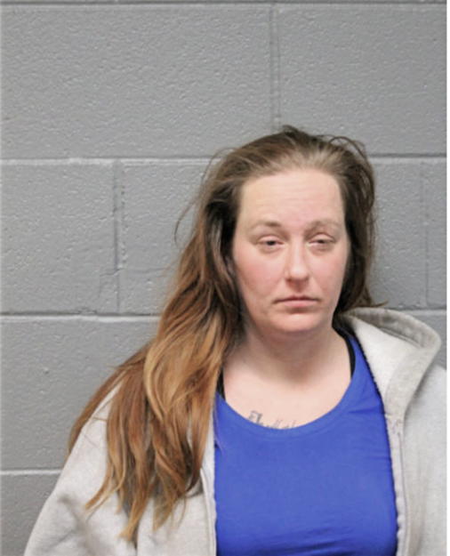 SARAH HOOGSTRAAL, Cook County, Illinois