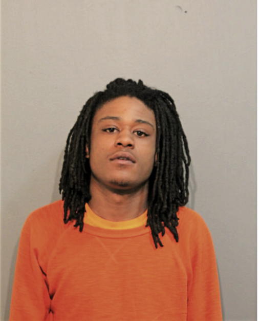 TIMOTHY S JONES, Cook County, Illinois